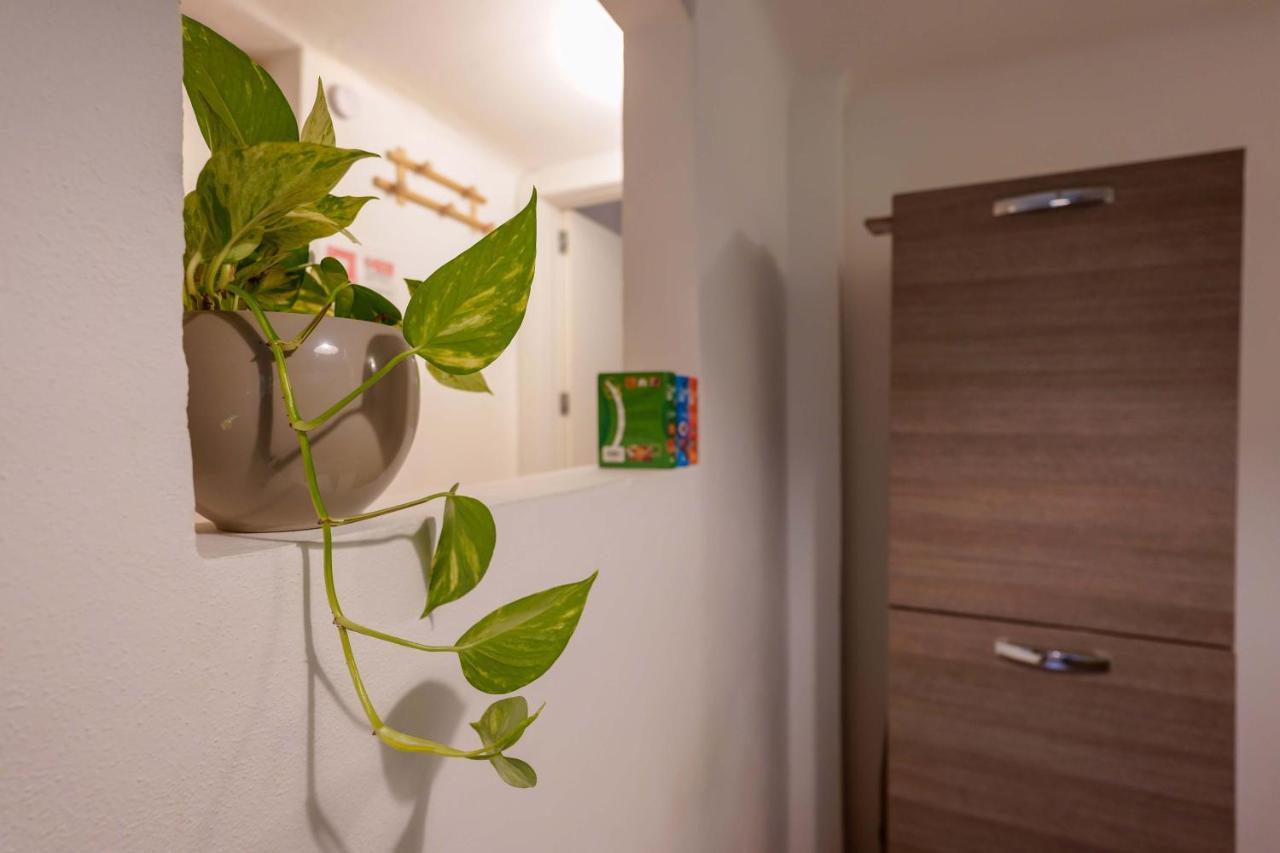Cavaticcio Apartment Болонья Экстерьер фото